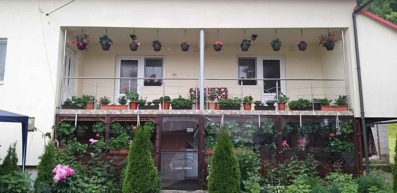 Casa Cosmina Arieseni Villa Eksteriør bilde