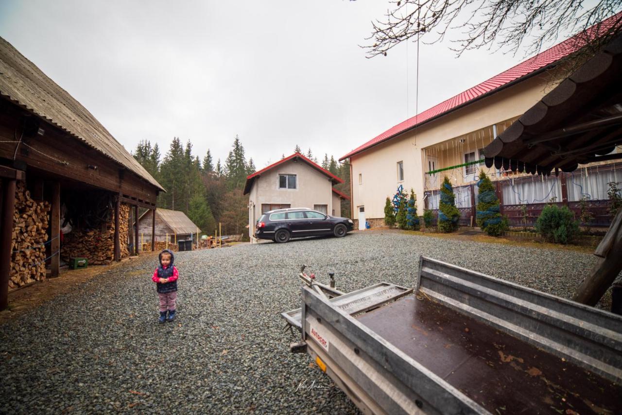 Casa Cosmina Arieseni Villa Eksteriør bilde