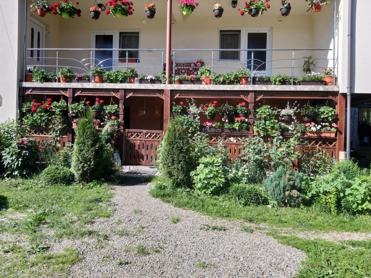 Casa Cosmina Arieseni Villa Eksteriør bilde